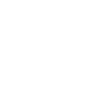 Inflammation Support